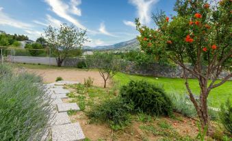Serene Rural Villa With Pool, Sun Deck, and Children's Play Area