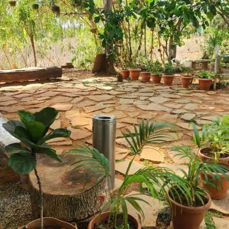 Tuesday Farm Stay