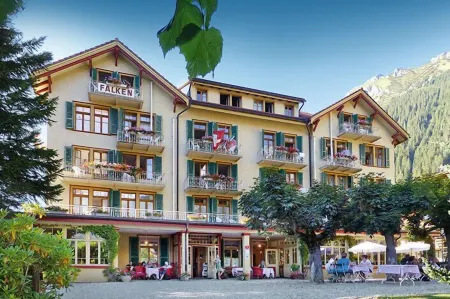 Historic Hotel Falken