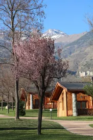 懶惰的蜜蜂露營村