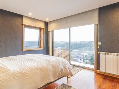 Gorgeous villa Looking to Douro