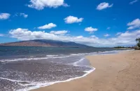 Modern & Tropical Oceanside Vistas