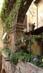 Hotel Umbria Hotels in 