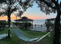 帕薩度假村 Salacik Mahallesi住宿飯店