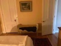 Downtown Designer Digs