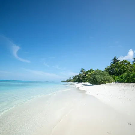 Whaleshark Beach