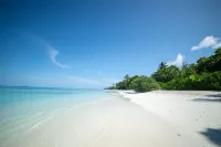 Whaleshark Beach Hotels in Dhidhoofinolhu