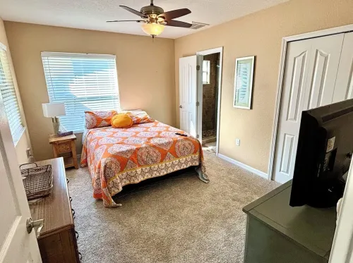 Relaxing Pool Home - Palm Harbor - 3Br - 6Ppl