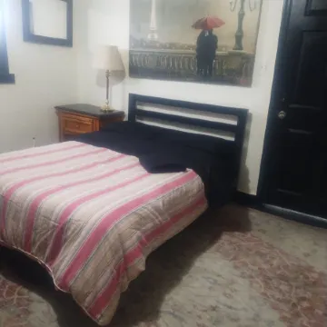 Palm Villa Hostel Отели рядом с достопримечательностью «Зоопарк Лоури»