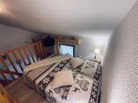 Praz de Lys resort, duplex apartment 200 metres from the ski lifts 타낭즈 호텔