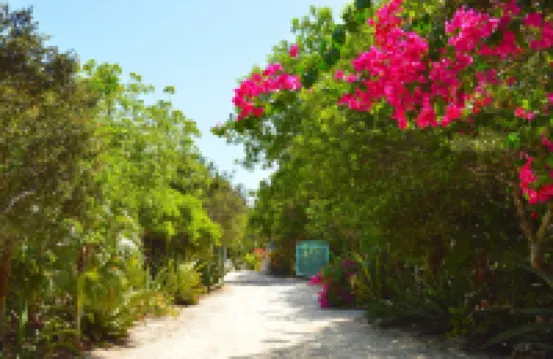 Grace Bay Beach 7Acre Resort: Guesthouse Ocean Views+Pool+Oceanfront+Lush Garden