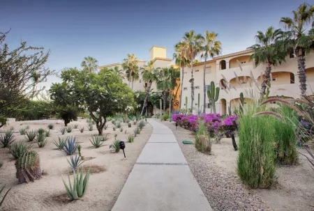 Entire Oceanfront Condo in Paradise 3 bed /2 bath,  San José del Cabo Отели рядом с достопримечательностью «Isis Healing House Alternative Therapies & seven Zenses Cabo Spa»