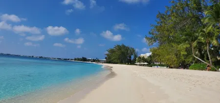 On Site Scuba Diving, 2 Pools, 3 Story Condo Awaits, Steps From These Views!!