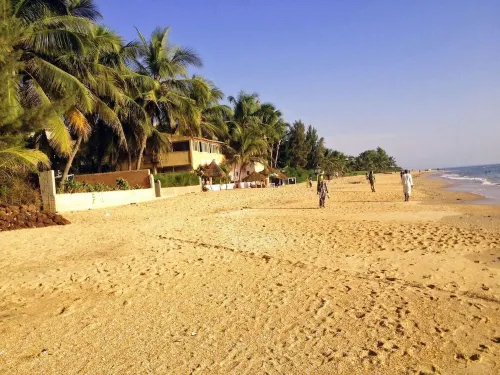 La villa du cocotier 3 minutes from the beach - Homestays