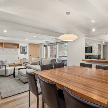 Contemporary Condo in Aspen Core