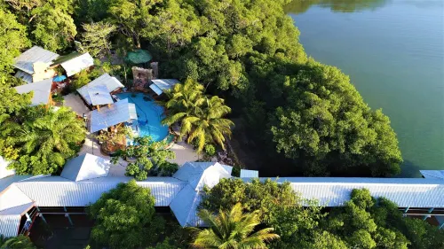 The Dock Resort: Includes boat for snorkeling out at the reef ! NEW LOW PRICE !