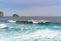 Apartment 3 rooms garden view