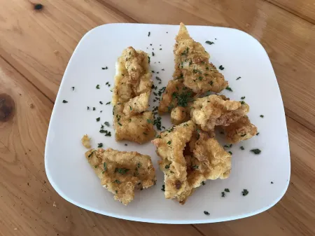 Bimini Cove Resort and Marina, located at South Bimini, Bahamas.