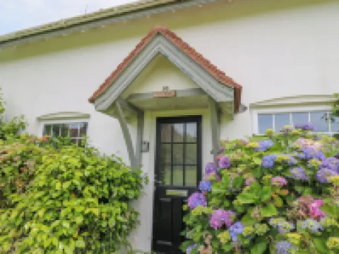 Sea Rose Hotels in Cardigan