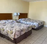 Ocean Cove Motel - Motels