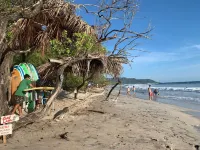 Shark Town Mal Pais - Beach
