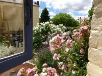 The Globe Inn Hotels in Murrumbateman