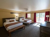 McKinley Creekside Cabins Hotels in Denali