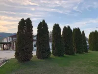 Chase Country Inn Hotels in Chase