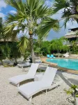 The Wild Orchid Resort - Moalboal - Beach