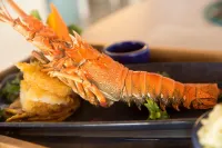 Jetwing Surf & Safari, A Luxury Reserve - Breakfast