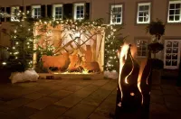 Hotel Saarburger Hof Hotels in Ayl