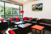 Logis Hotel Lons-Le-Saunier - Restaurant le Grill - Kæledyr tilladt