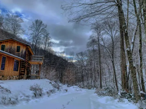 Cabin By The Falls