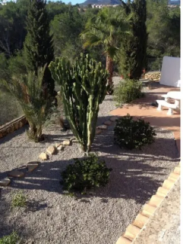 Nice and quiet apartment near the beach