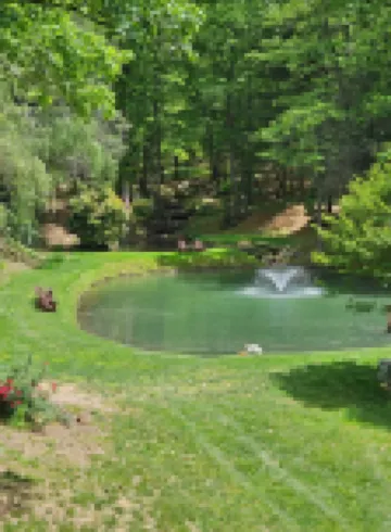 3 bedroom cabin w/hot tub