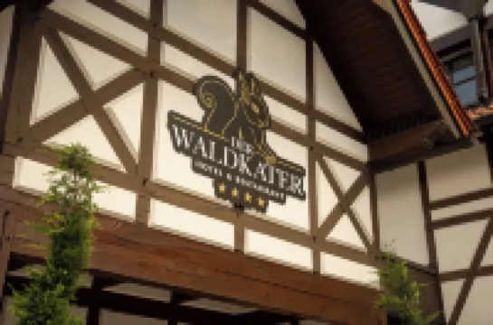 Hotel der Waldkater