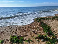 Quiet vacation home on the edge of the national forest, 600m from the sea