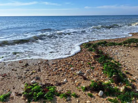 Quiet vacation home on the edge of the national forest, 600m from the sea