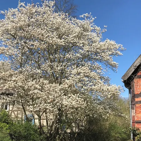 Vacation apartment in the Rundling