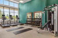 Hilton Garden Inn Seattle Airport