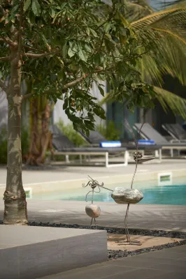 Modern apartment with private terrace and swimming pool โรงแรมใน