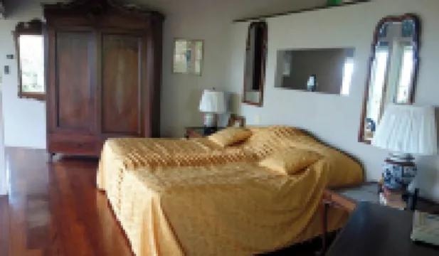 Penthouse in the jungle