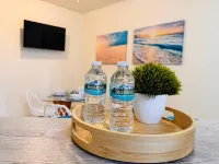 NOVAGA PUERTO MORELOS