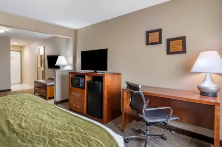 Comfort Inn Romeoville - Bolingbrook Отели рядом с достопримечательностью «Парк Плиммер»