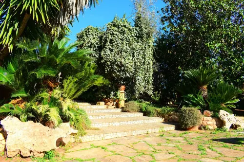 Spacious villa surrounded by greenery, ideal for groups(Numerous all inclusive services) Hotels in Copertino