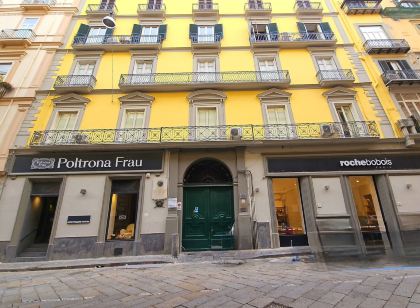 ナポリ ツリー - ルンゴマーレ