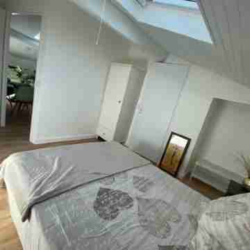 Apartement Lumineux à Toulouse Rooms