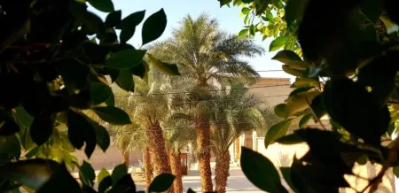HabuHeritageHomeStayInLuxor Отели рядом с достопримечательностью «Колоссы Мемнона»