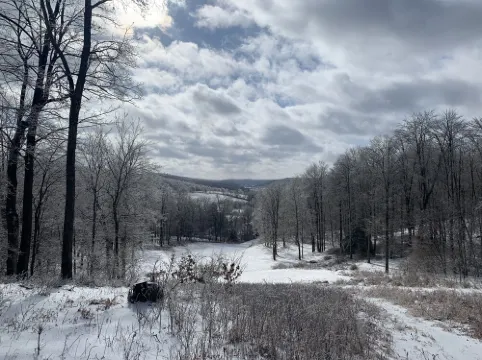 Art Studio House in Private Mountaintop Nature Preserve Hotels in Hillsdale