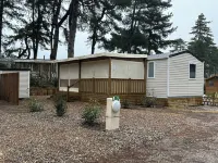 IN QUEND PLAGE LES PINS IN THE HEART OF THE PINES 10 MINUTES WALK FROM THE SEA Hotels in Quend